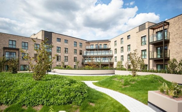 New projects for the Summer